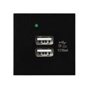 NOEN USB X 2, PODWÓJNY PORT MODUŁOWY 45X45MM Z ŁADOWARKĄ USB, 2,1A 5V DC, CZARNY ORNO NOEN USB X 2, PODWÓJNY PORT MODUŁOWY 45X45MM Z ŁADOWARKĄ USB, 2,1A 5V DC, CZARNY ORNO