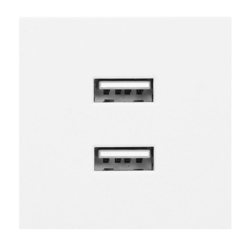 NOEN USB X 2, PODWÓJNY PORT MODUŁOWY 45X45MM Z ŁADOWARKĄ USB, 2,1A 5V DC, BIAŁY ORNO