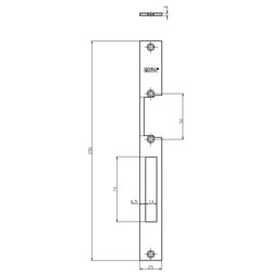 PŁASKOWNIK DŁUGI BIRA 250X25X3MM., OCYNK