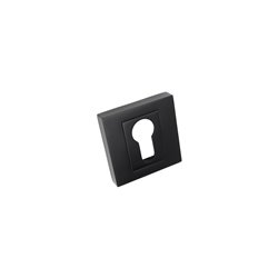 SZYLD ALUBRASS I NA WKŁAD CZARNY