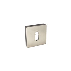 SZYLD ALUBRASS R NA KLUCZ NIKIEL SATYNA BLITZ