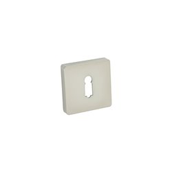 SZYLD ALUBRASS R NA KLUCZ SATYNA MAT BLITZ