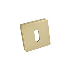 SZYLD ALUBRASS R NA KLUCZ SATYNA MOSIĄDZ BLITZ