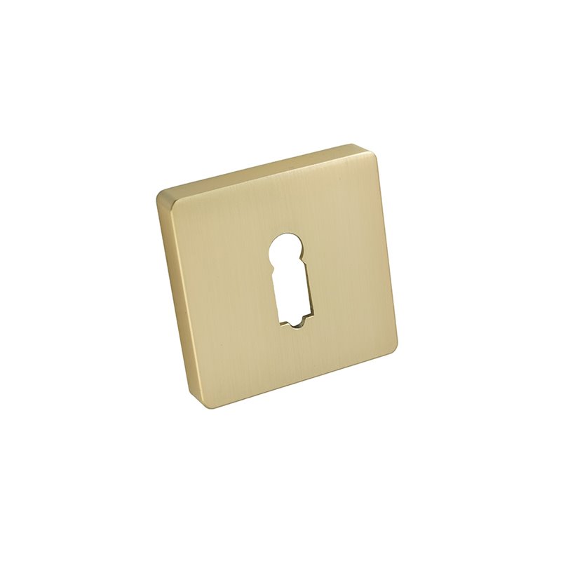 SZYLD ALUBRASS R NA KLUCZ SATYNA MOSIĄDZ BLITZ SZYLD ALUBRASS R NA KLUCZ SATYNA MOSIĄDZ BLITZ