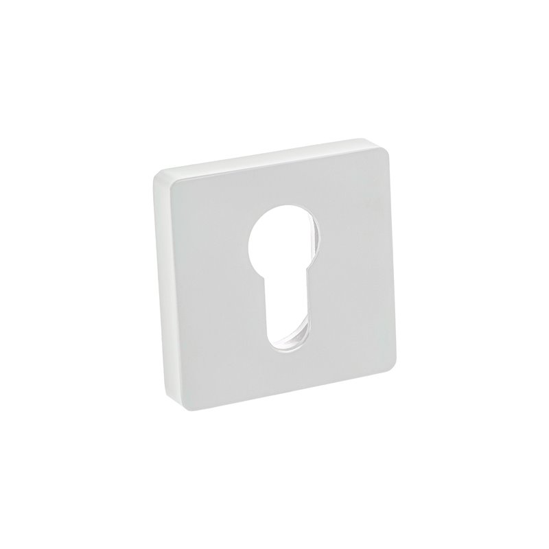 SZYLD ALUBRASS R NA WKŁAD BIAŁY BLITZ SZYLD ALUBRASS R NA WKŁAD BIAŁY BLITZ