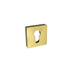 SZYLD ALUBRASS R NA WKŁAD MOSIĄDZ PVD BLITZ