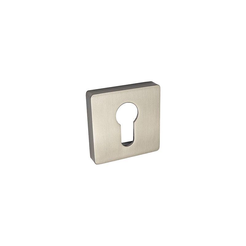 SZYLD ALUBRASS R NA WKŁAD NIKIEL SATYNA BLITZ SZYLD ALUBRASS R NA WKŁAD NIKIEL SATYNA BLITZ