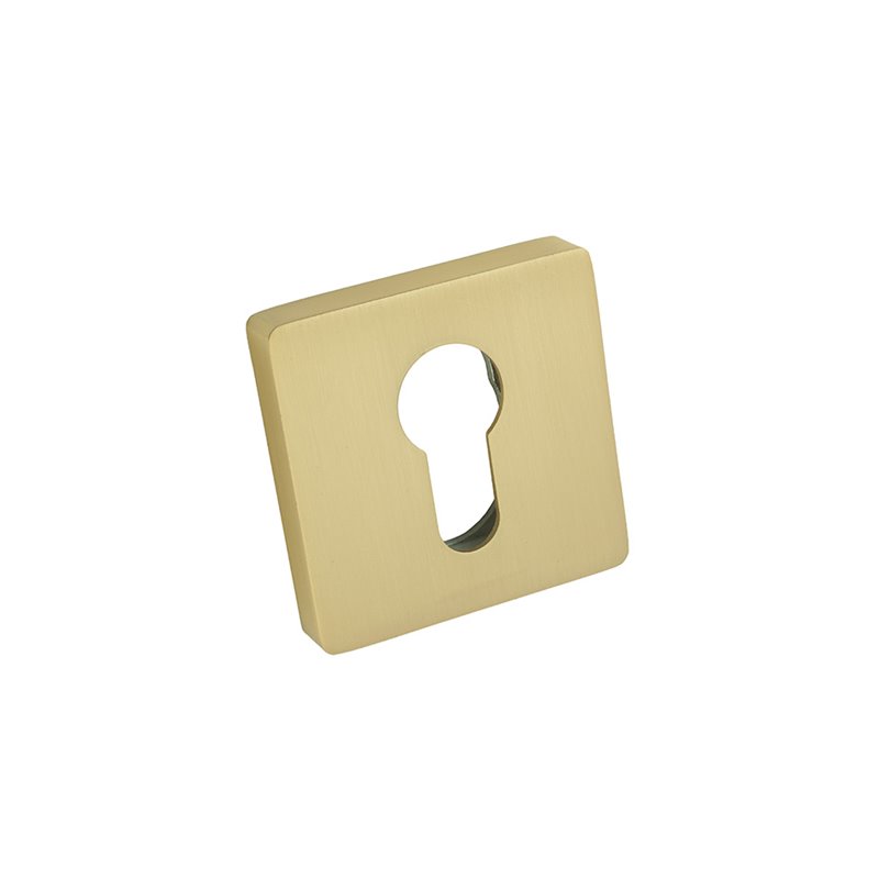 SZYLD ALUBRASS R NA WKŁAD SATYNA MOSIĄDZ BLITZ SZYLD ALUBRASS R NA WKŁAD SATYNA MOSIĄDZ BLITZ