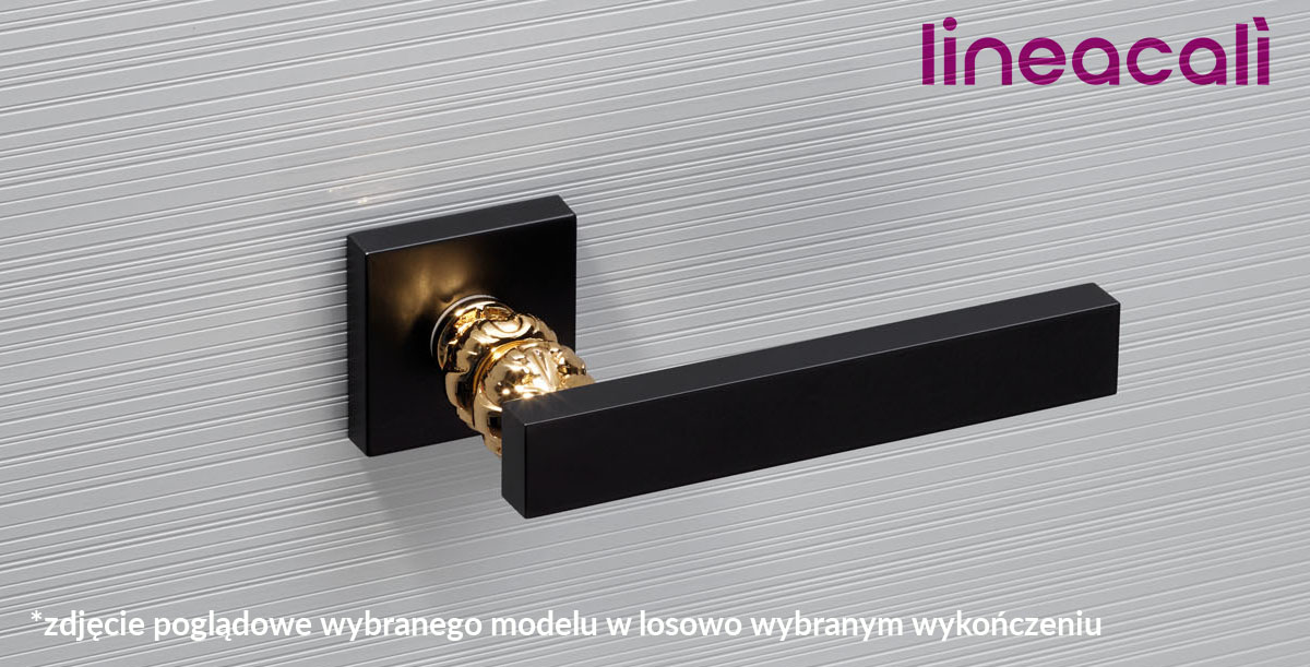 Klamka Era Szyld Kwadratowy 019 [Anthracite+Polished Chrome] Ac Linea Cali