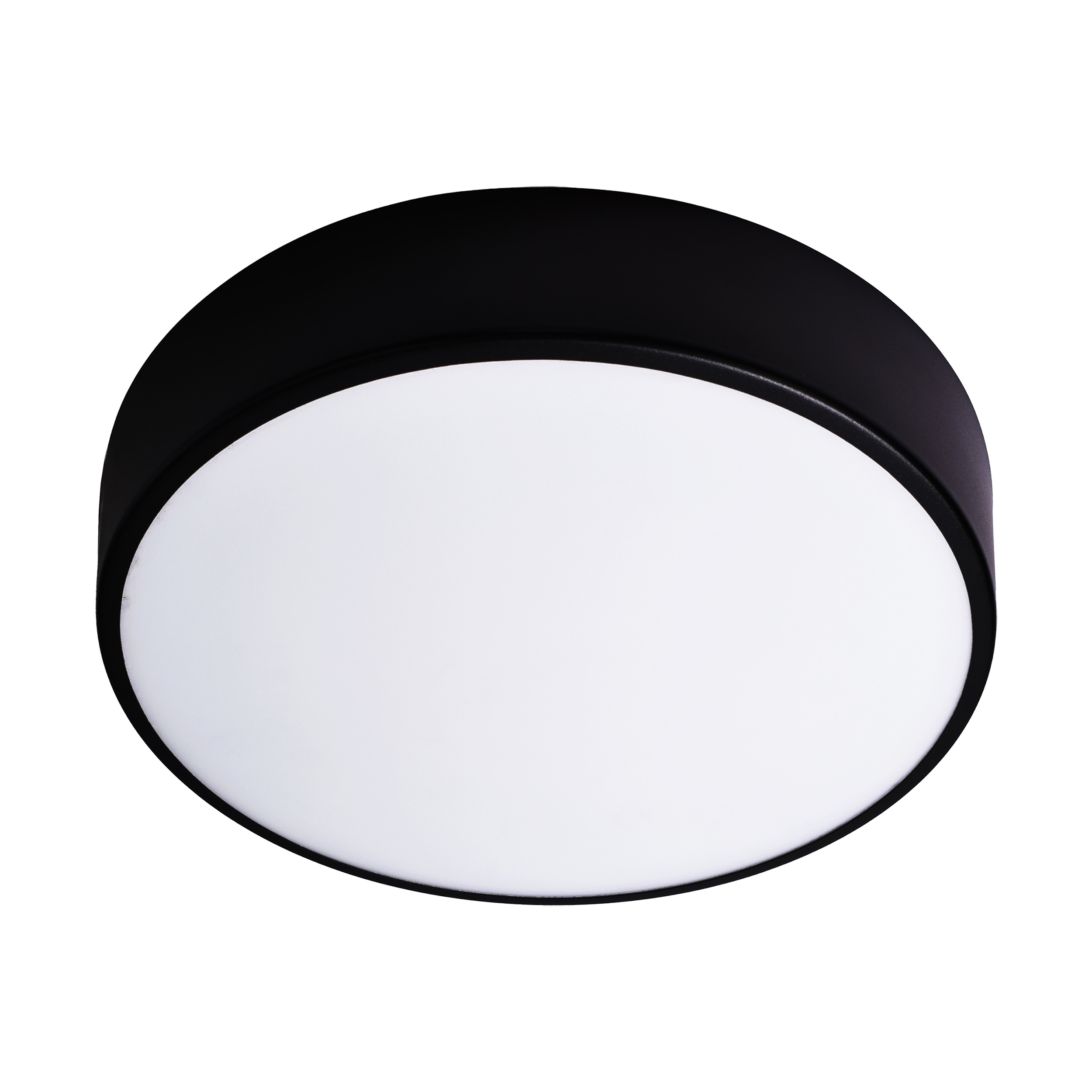 OVO plafon 4xE27, 4x24W, czarna stal, klosz szklany matowy, IP20, ? 500